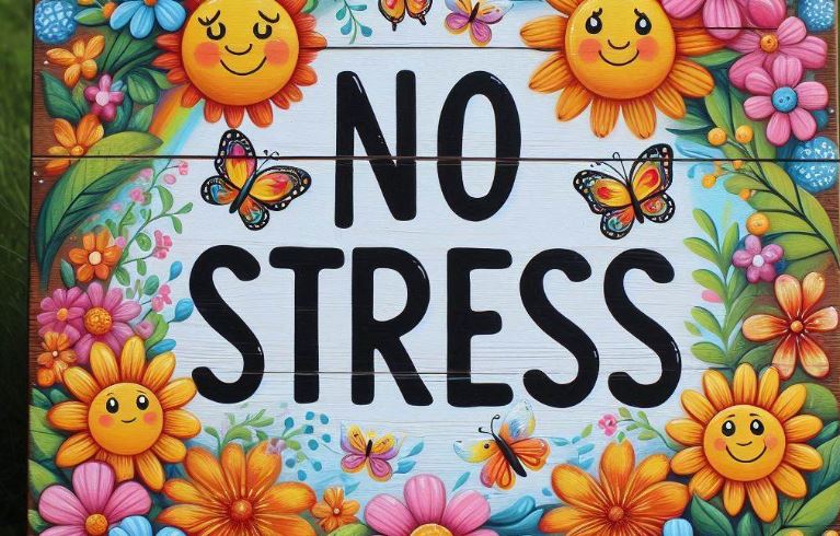 What if stress didn’t exist?