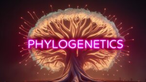 Phylogenetics